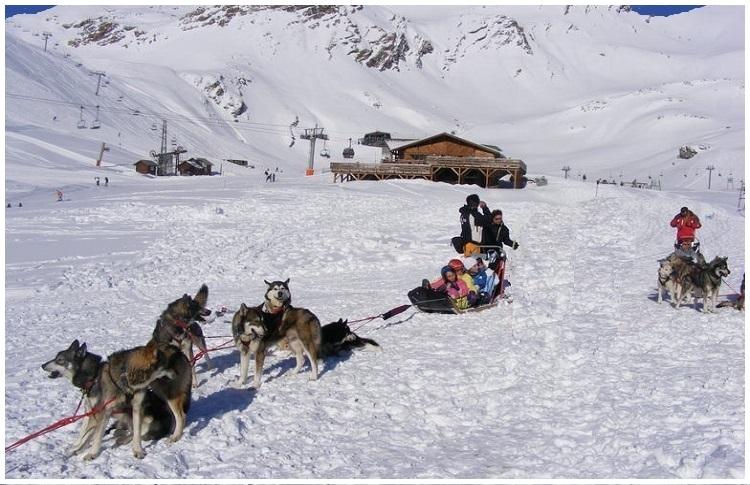 Chiens de traineaux a orcieres