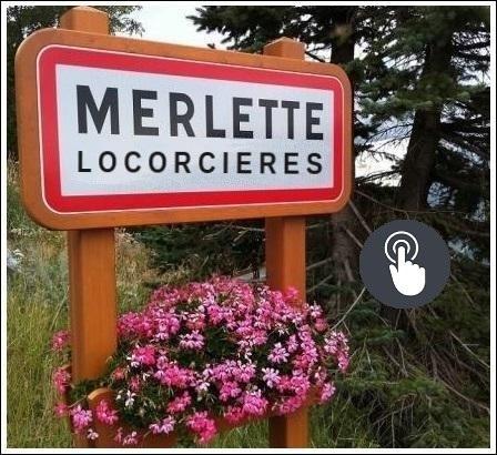 Photo merlette locorcieres